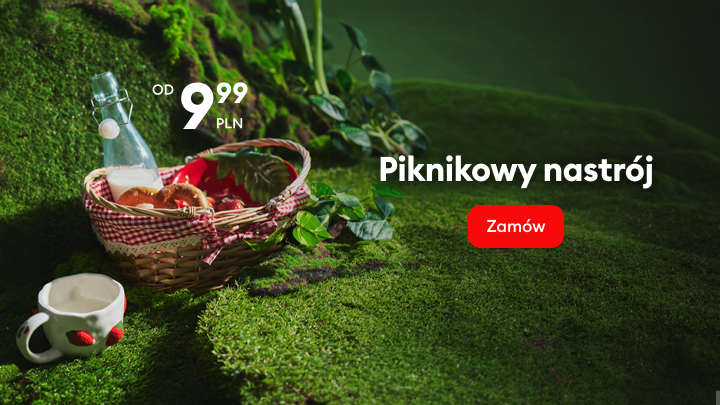 Promocja akcesoriów piknikowych i naczyń w cenie 9,99 PLN zachęcająca do stworzenia piknikowej atmosfery i złożenia zamówienia