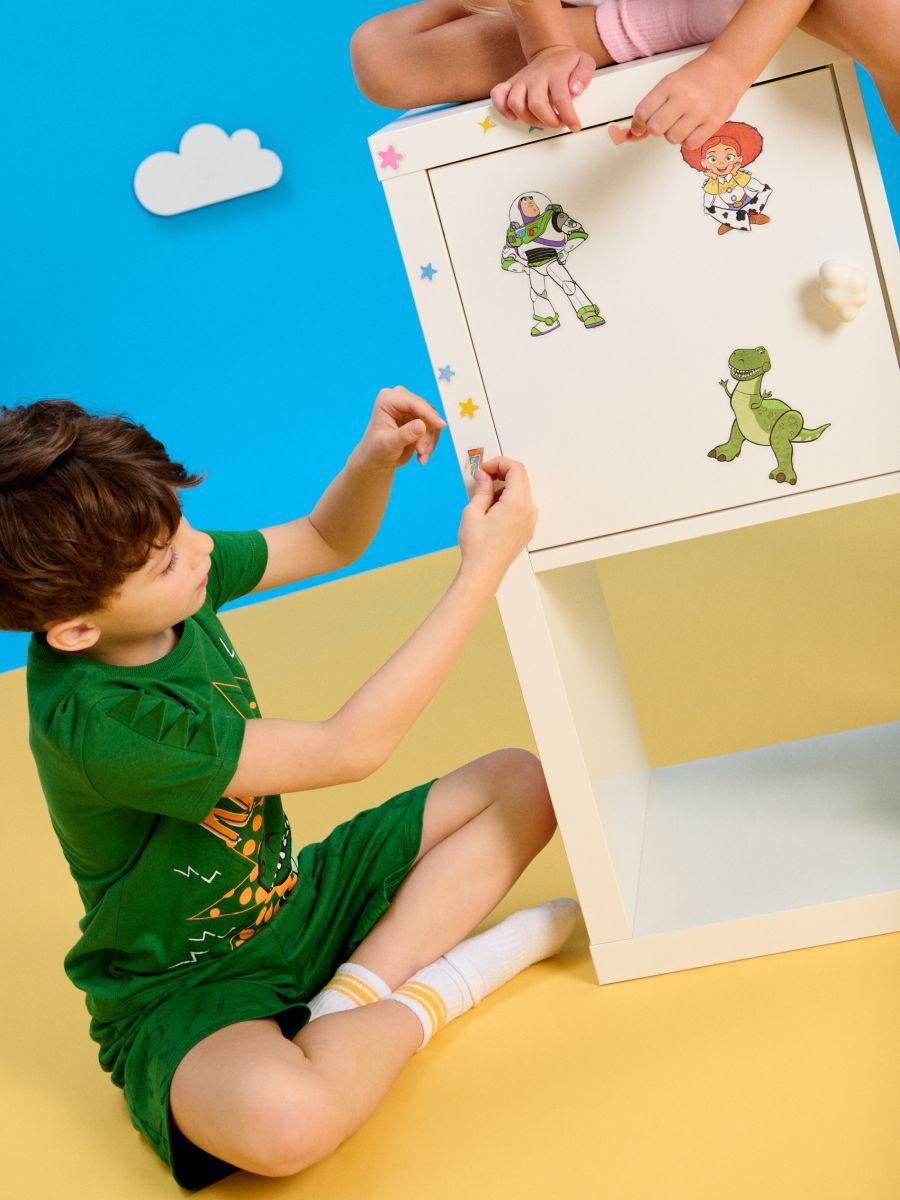 Samolepky na zeď 6 pack Toy Story Samolepky na zeď 6 pack Toy Story - vícebarevná - SINSAY
