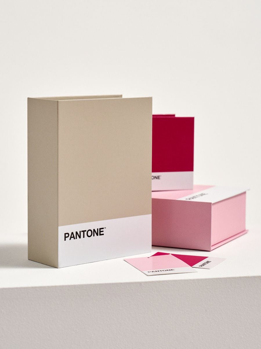 Pudełko do przechowywania Pantone - beżowy - SINSAY